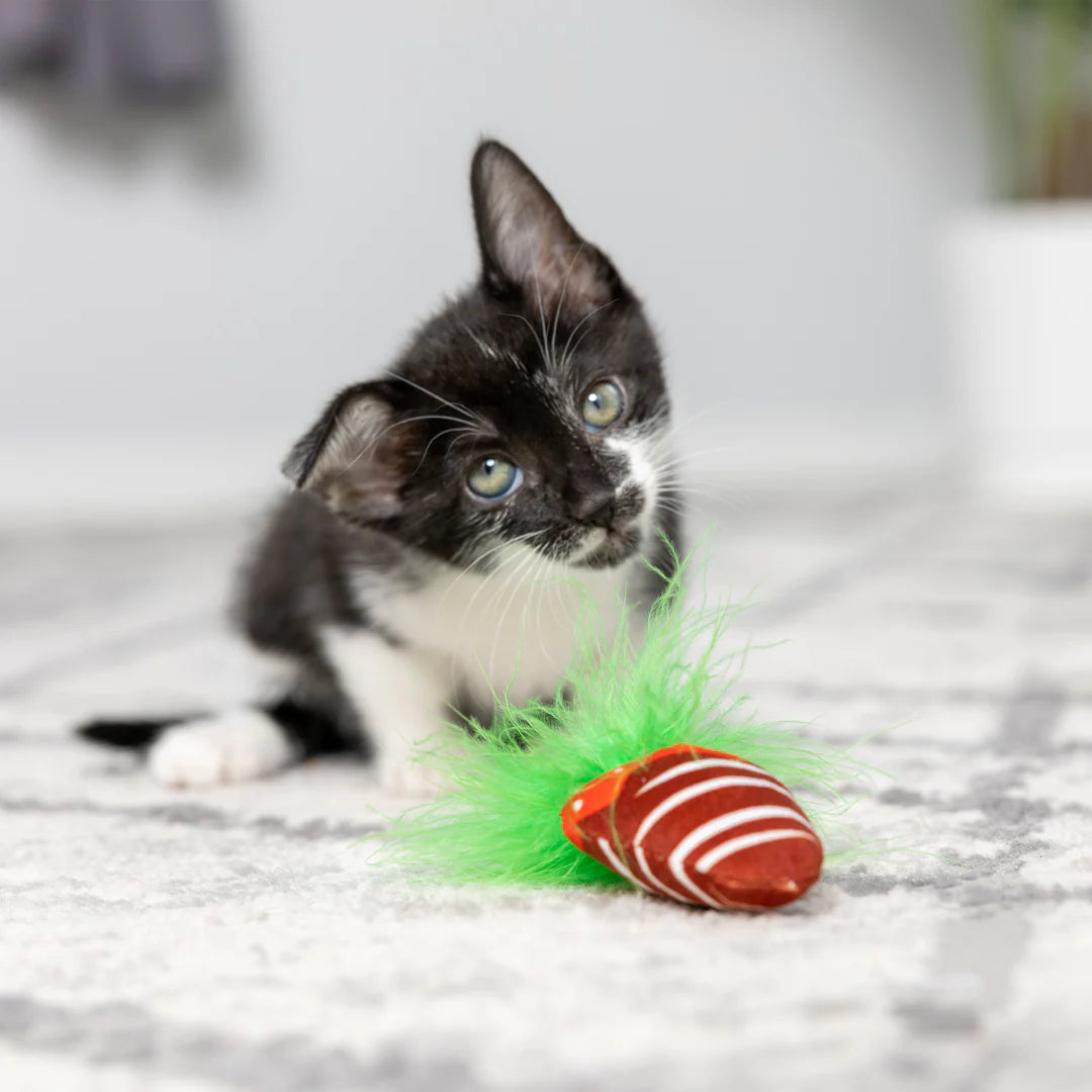 Chocolate Strawberry/ Convo Heart 2pk Plush Cat Toy