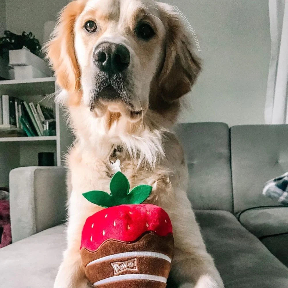 Chocolate Strawberry Dog Toy