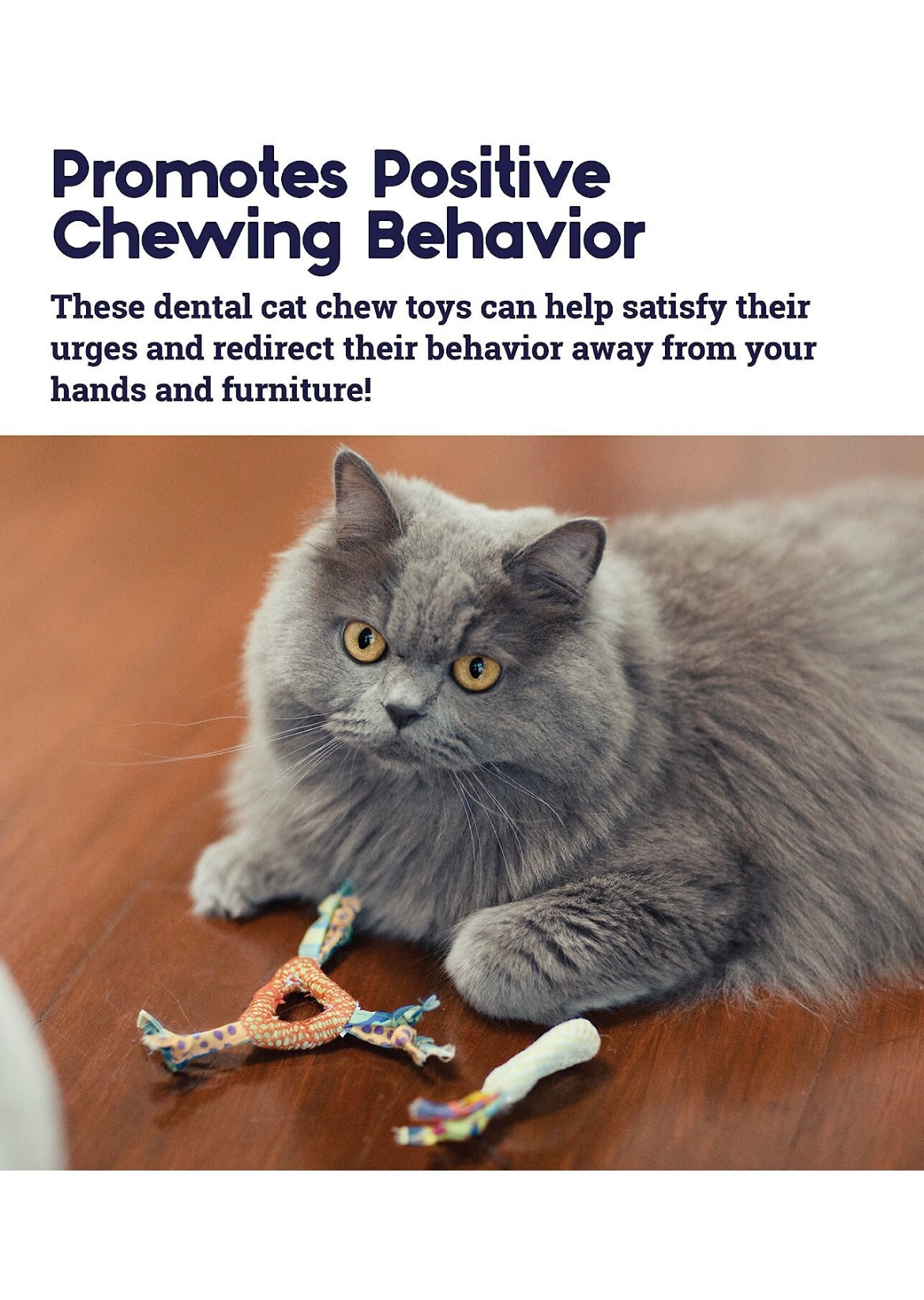 Dental Cat Chew Toy with Catnip