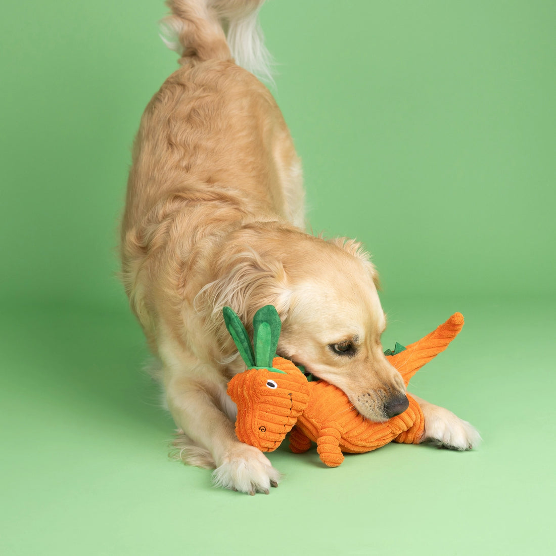 Carrot Bout You Plush Dog Toy