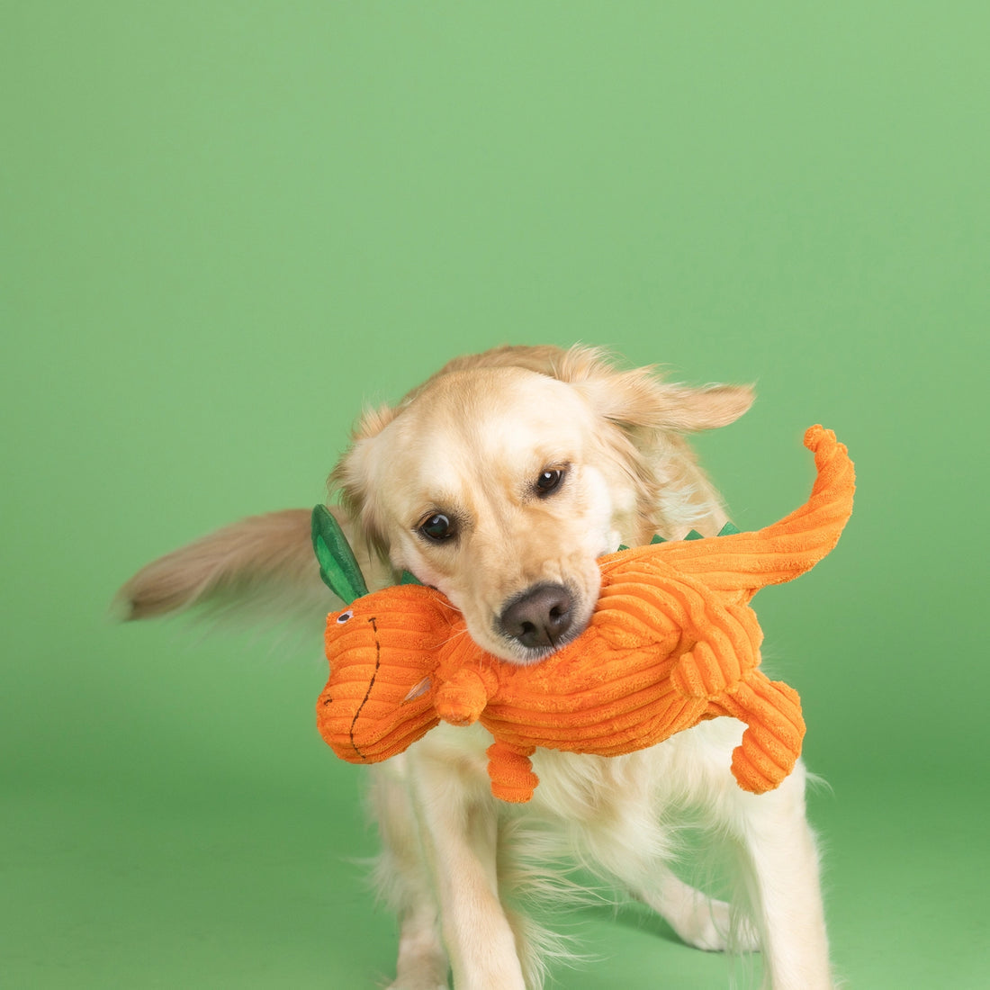 Carrot Bout You Plush Dog Toy
