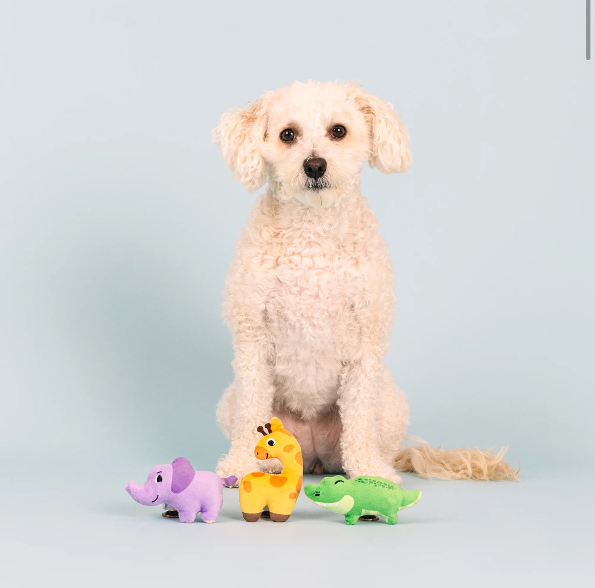 Wild Times Small Plush Dog Toys, Set of 3