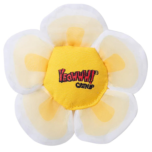 Yeowww! Catnip Daisy's Flower Tops